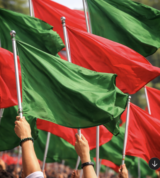 Red flag green flag Guide to Writing Six Word Stories