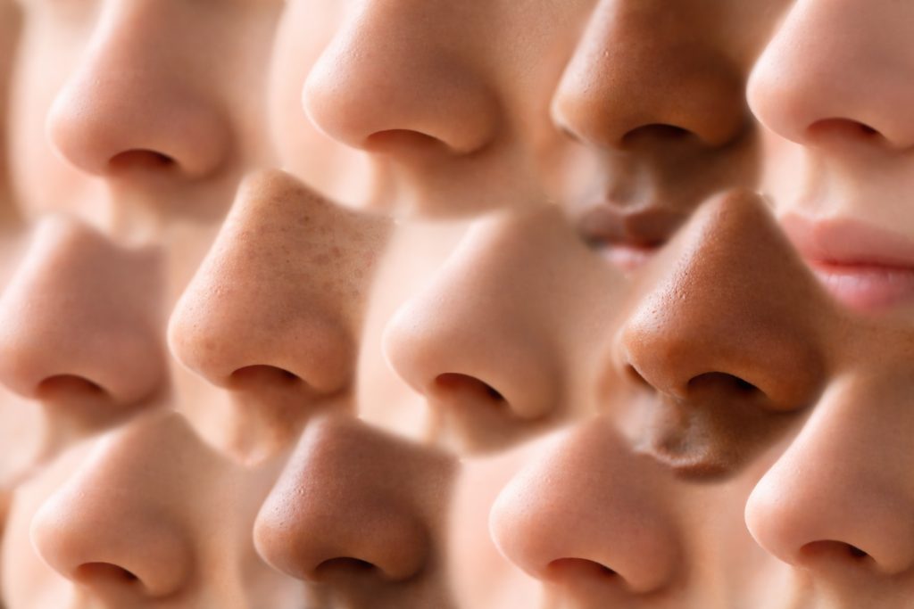 Smell vocabulary and how to use odour in writing