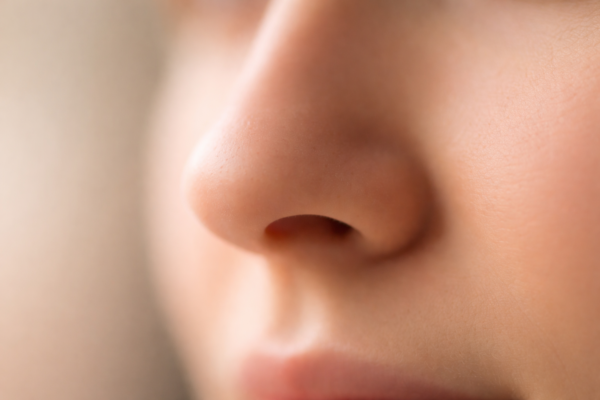 Smell vocabulary and writing guide - Smell is writing is one of the most powerful tools an author can use, yet it is often overlooked.